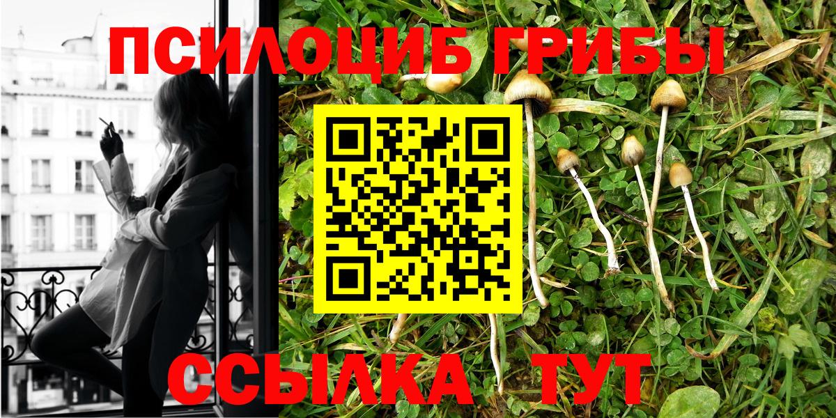 Галлюциногенные грибы Psilocybe  Вход с VPN  Реутов 